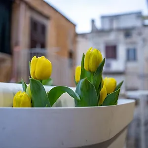  Holiday home Termini